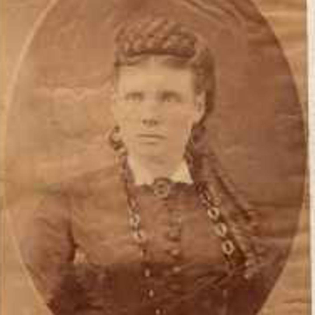 Helen Abigail Hodge (1837 - 1903) Profile
